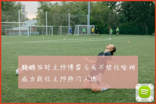 鹈鹕临时主帅博雷戈或不续任哈姆成为新任主帅热门人选